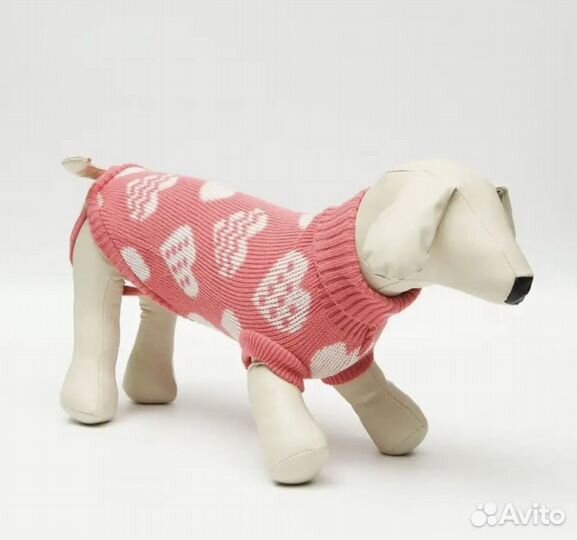 Одежда для собак