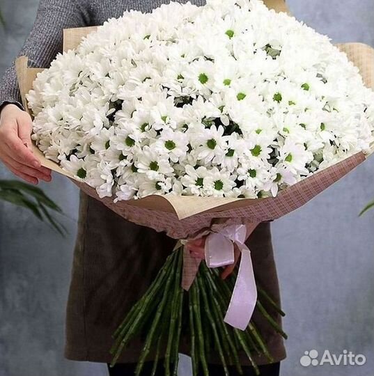 Доставка букетов и цветов. Хризантема