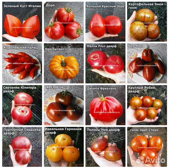 Коллекционные семена томатов и перцев