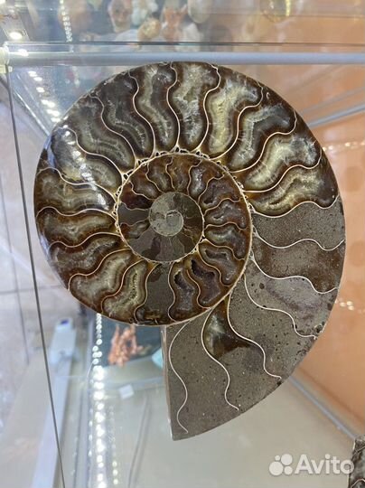 Камни (минералы и горные породы)