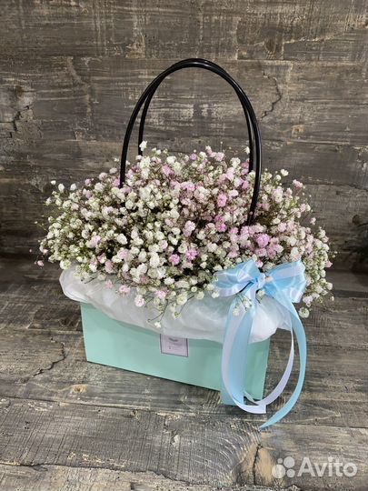 Гипсофила Цветы