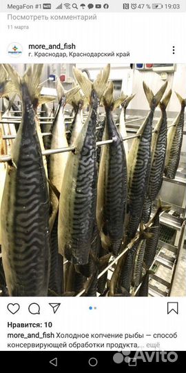 Цех копчения (модульный)