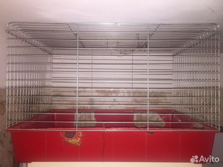 Железный верх от клетки для грызунов