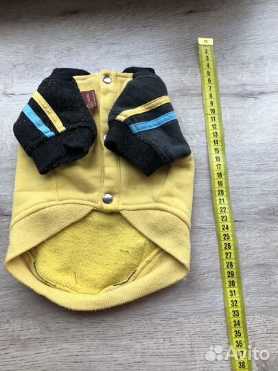 Одежды для маленьких собак