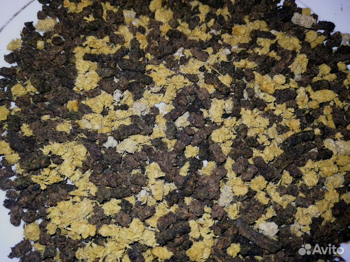 Иван-чай хвойный