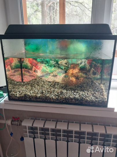 Аквариум