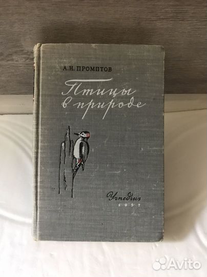Книга Птицы в природе А.Н. Промптов 1957 год
