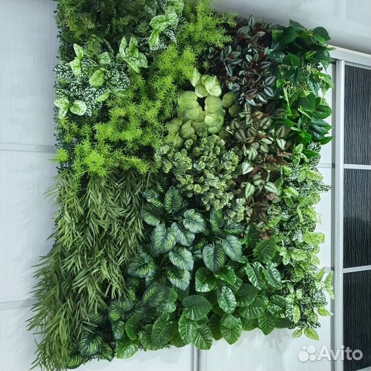 Фитостена вертикальное озеленение