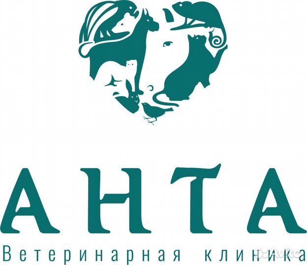 Ветеринарный врач