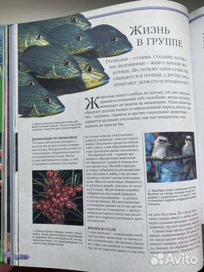 Энциклопедия живой природы