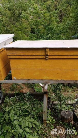 Ульи для пчел (лежак на две пчелосемьи)