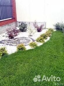 Укладка газона