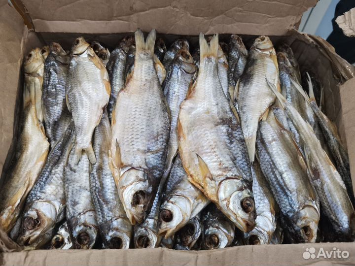 Вобла Астраханская вяленая