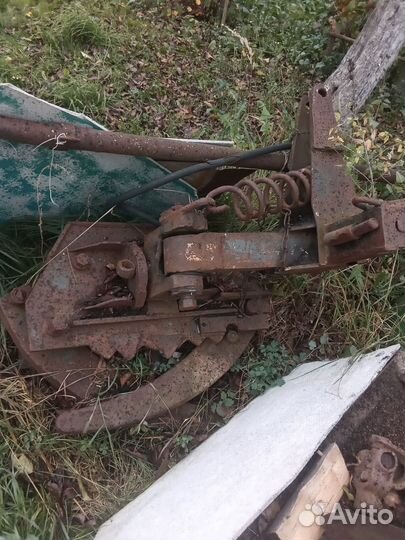 Паук муравей