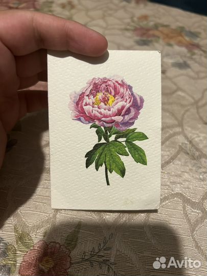 Подарочный сертификат летуаль