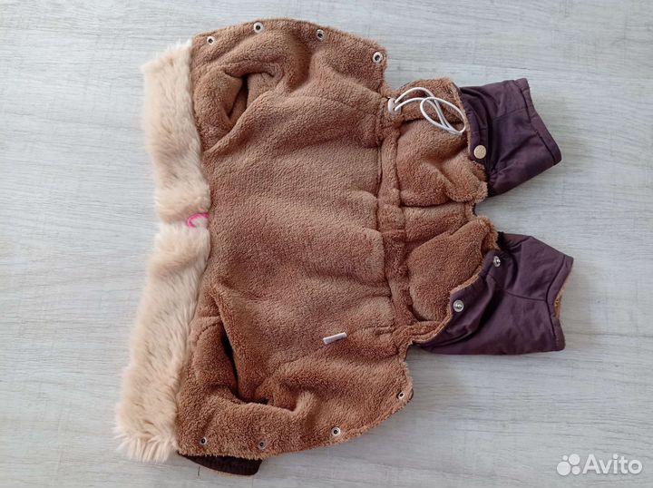 Одежда для собак