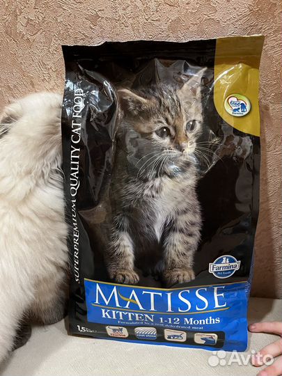 Сухой корм Farmina matisse для котят