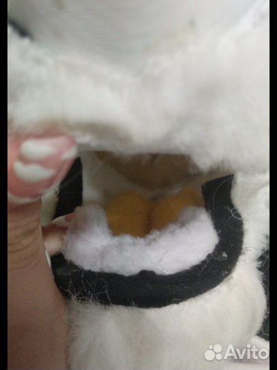 Фурсьют пса (чит.опис)