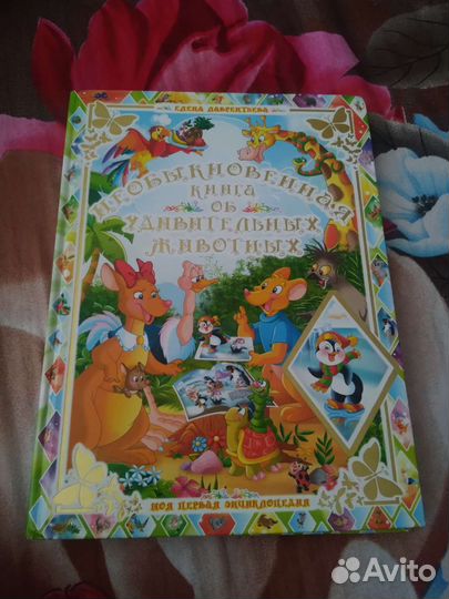 Необыкновенная книга