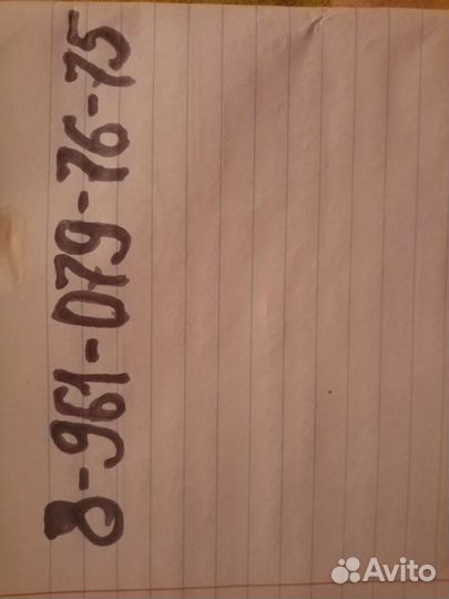 Собака в добрые руки отдам бесплатно