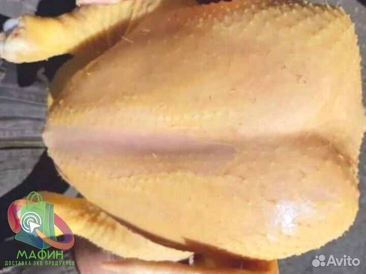 Мясо домашних кур