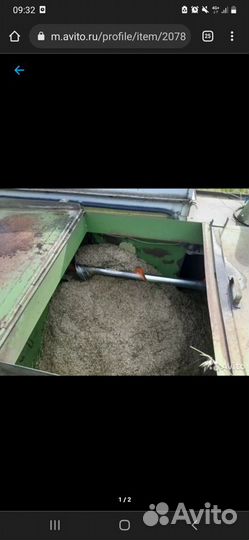 Семена костра