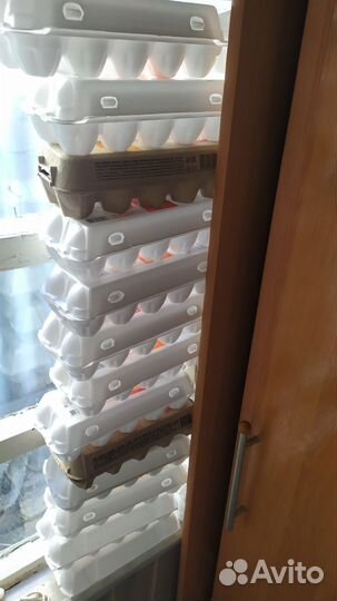 Лотки для яиц