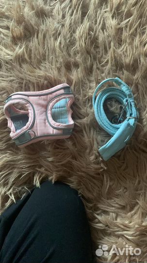 Шлейка для маленькой собаки и кошки с поводком