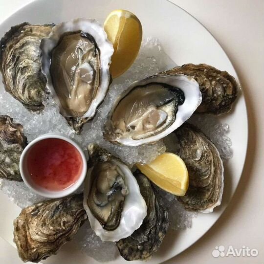 Устрица в наличии