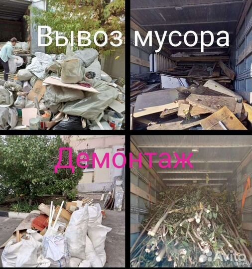 Вывоз мусора.Вывоз хлама.Вывоз веток