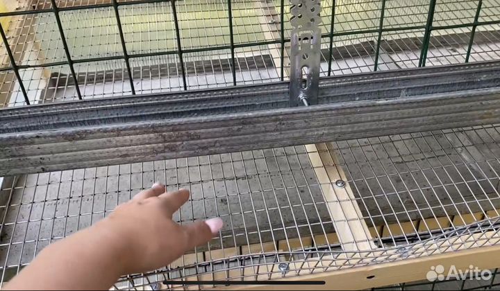 Клетки для перепелов