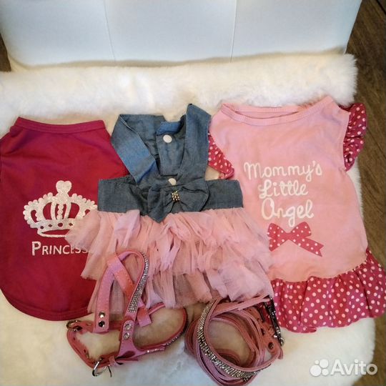 Одежда для маленькой собачки,размер S