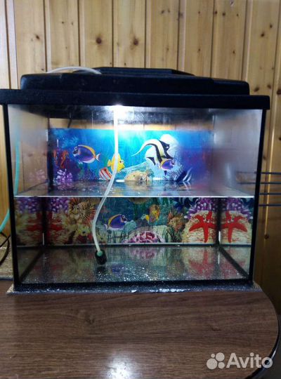 Аквариумы