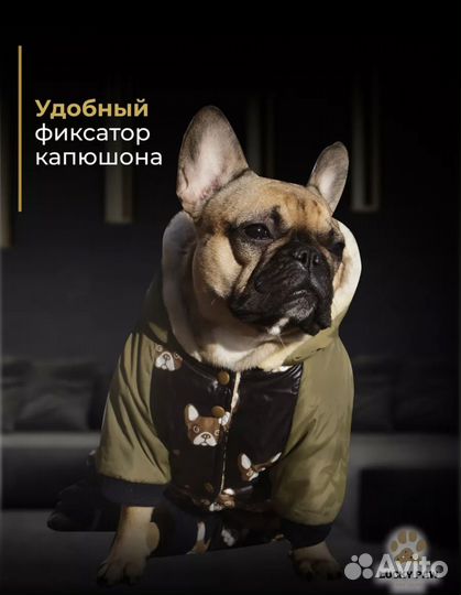 Комбинезон / одежда для собак