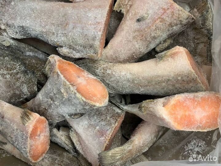 Форель, хвосты, стейки суп набор, филе