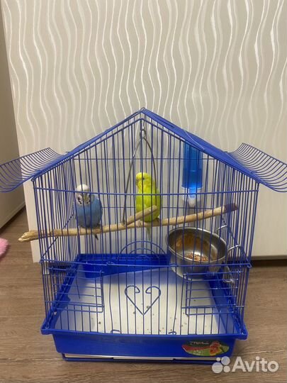 Клетка для попугаев