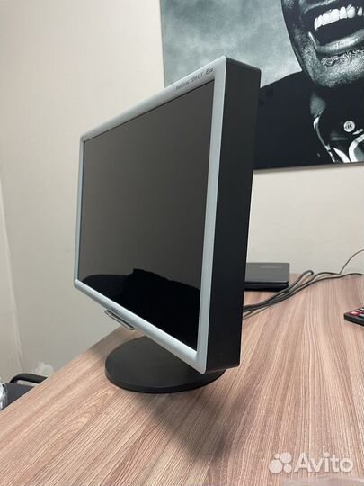 NEC multisync 20WGX 2 Pro