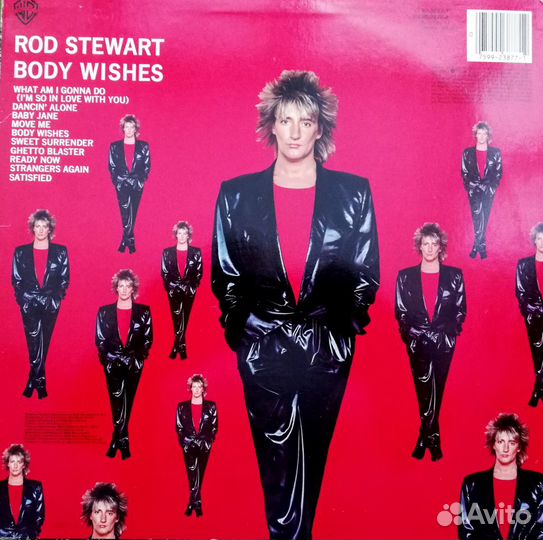 Виниловые пластинки Rod Stewart