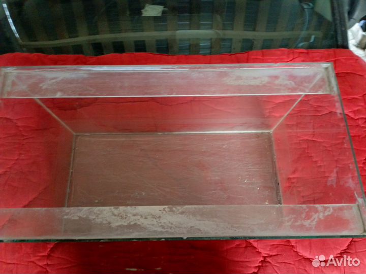 Аквариум с ракушками