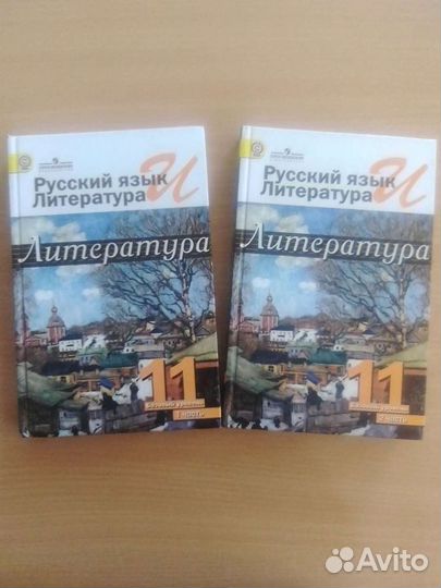 Литература 11 класс