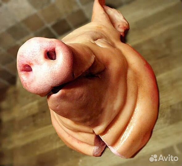 Свинная голова