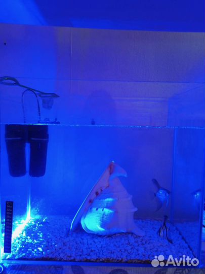 Аквариум