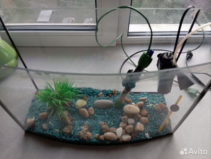 Аквариум