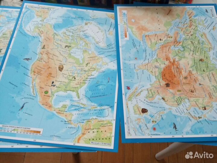 Настольные игры Вокруг света