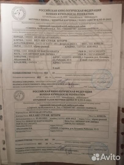 Щенки Немецкой овчарки
