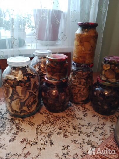 Продаю соленые грибы