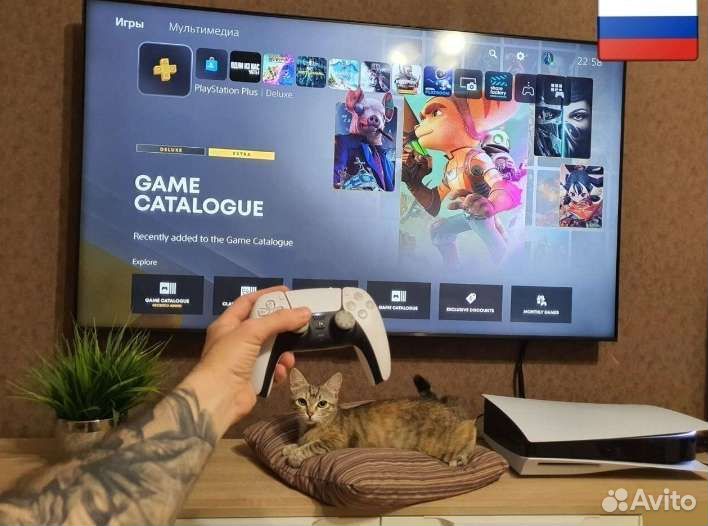 Подписка Ps Plus Владикавказ