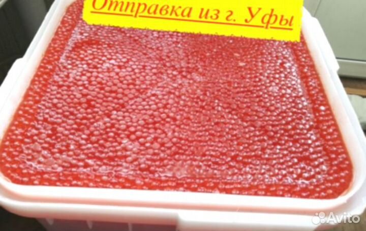 Красная икра