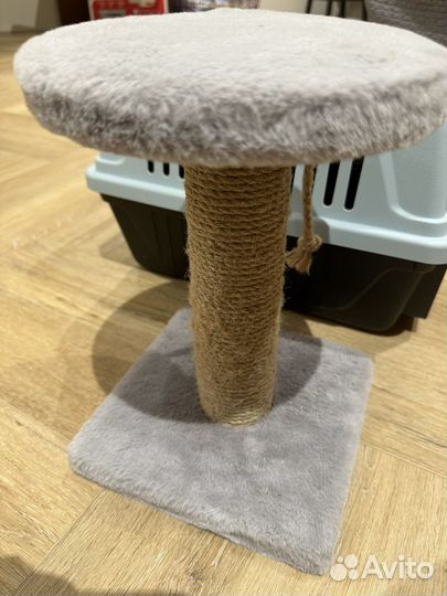 Когтеточка