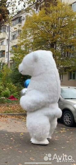 Поздравление от большого белого медведя